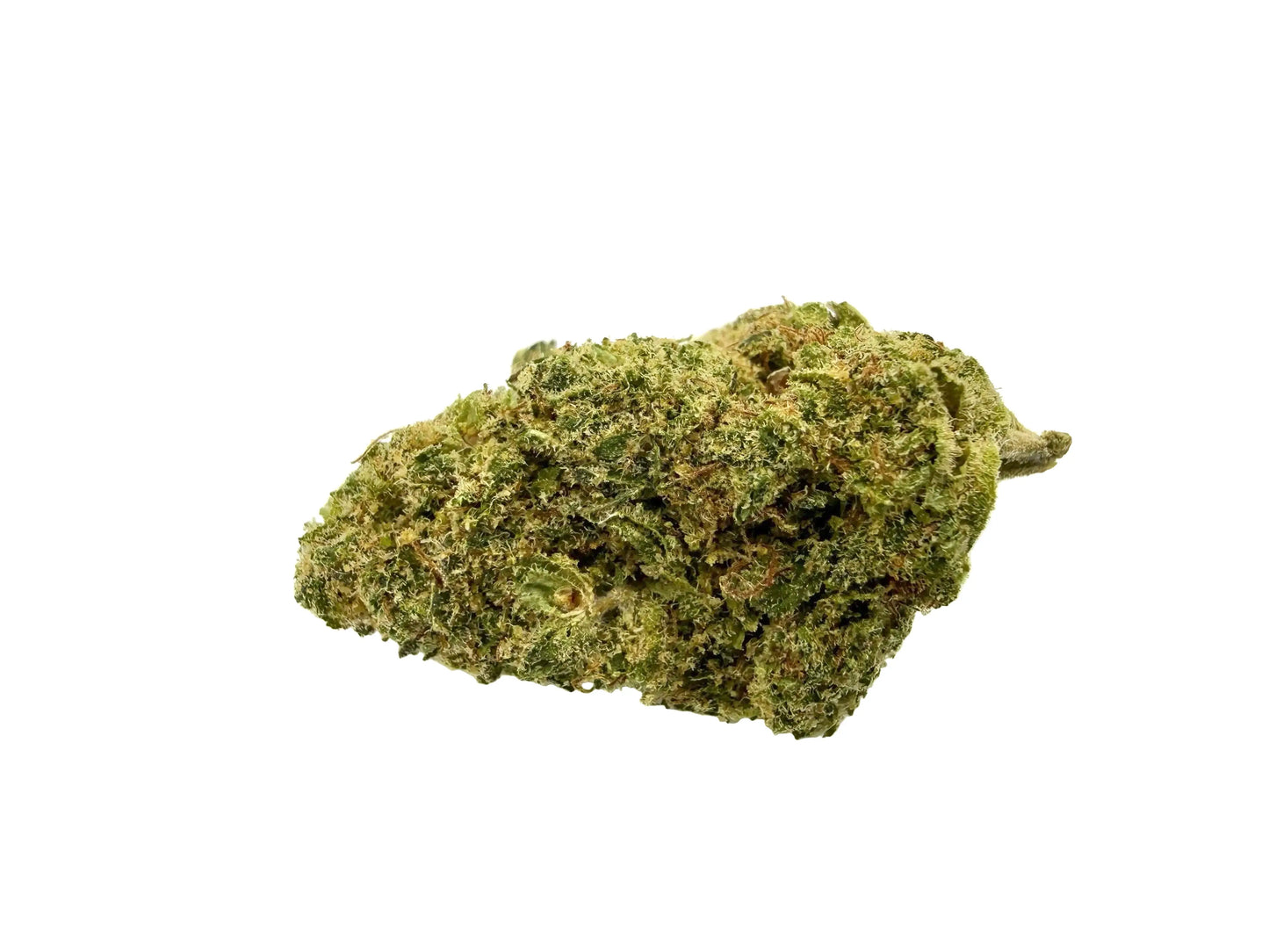 Monster Cookie baby – Fleur CBD Indoor