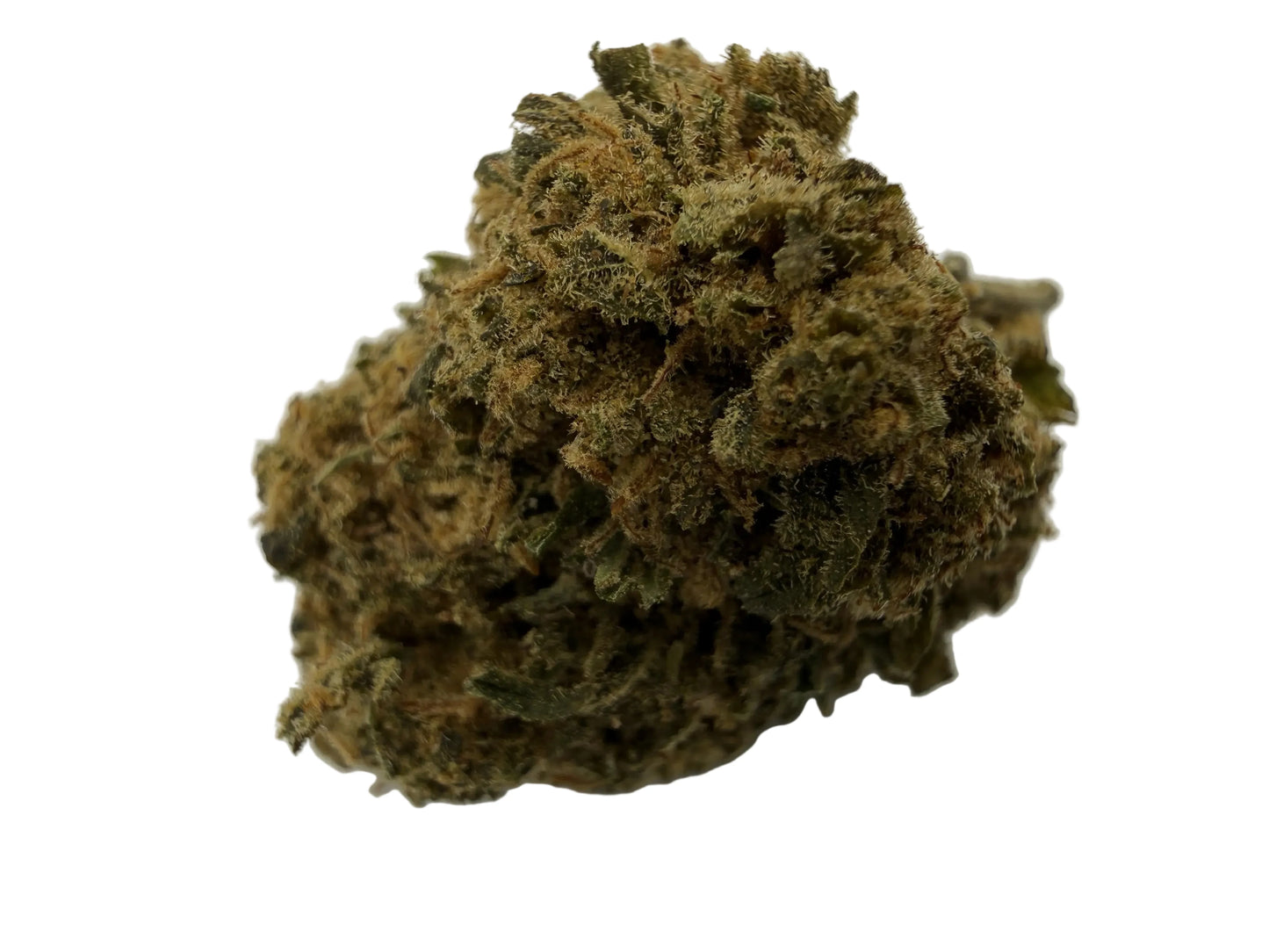 Gorilla Glue Premium – Fleur CBD Indoor