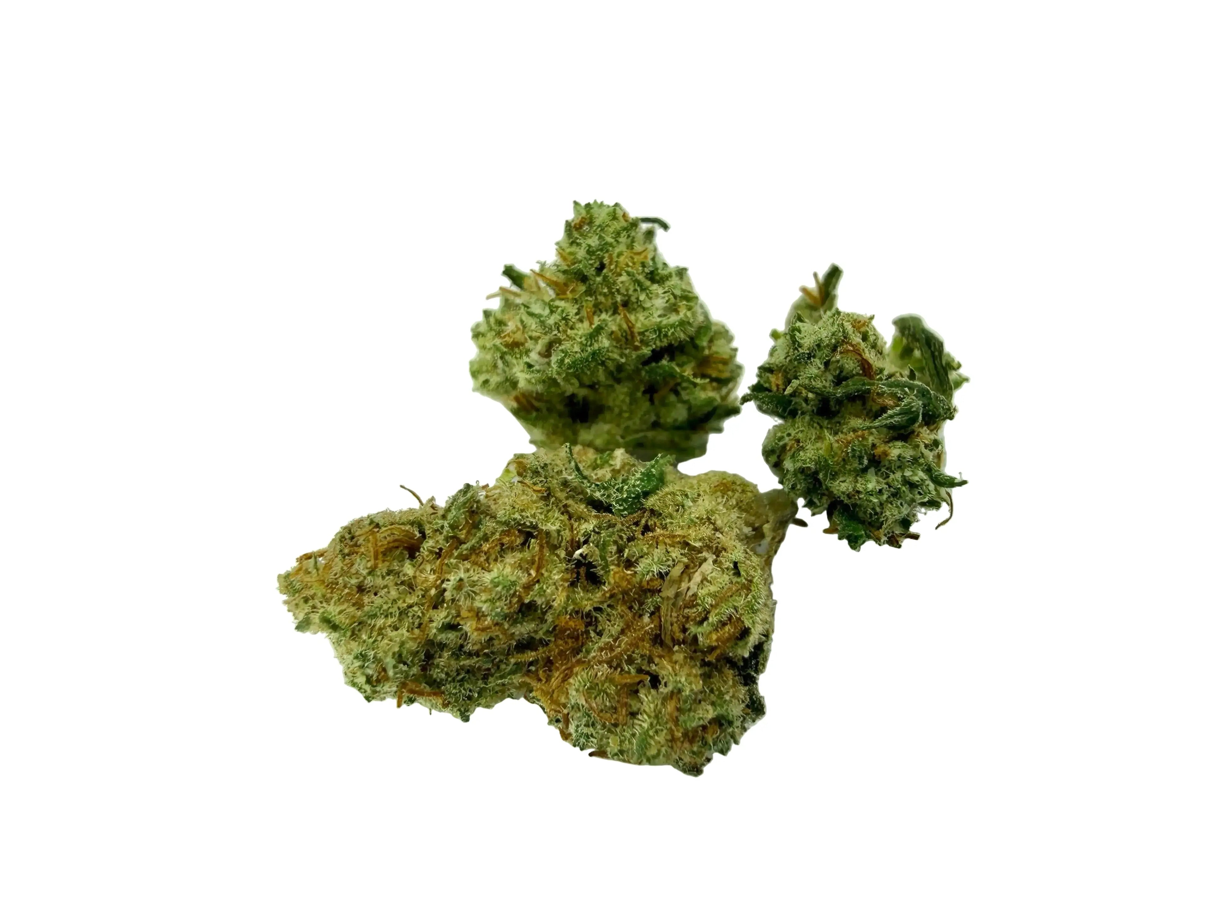 Amnesia US Baby – Fleur CBD Indoor Mini Bud