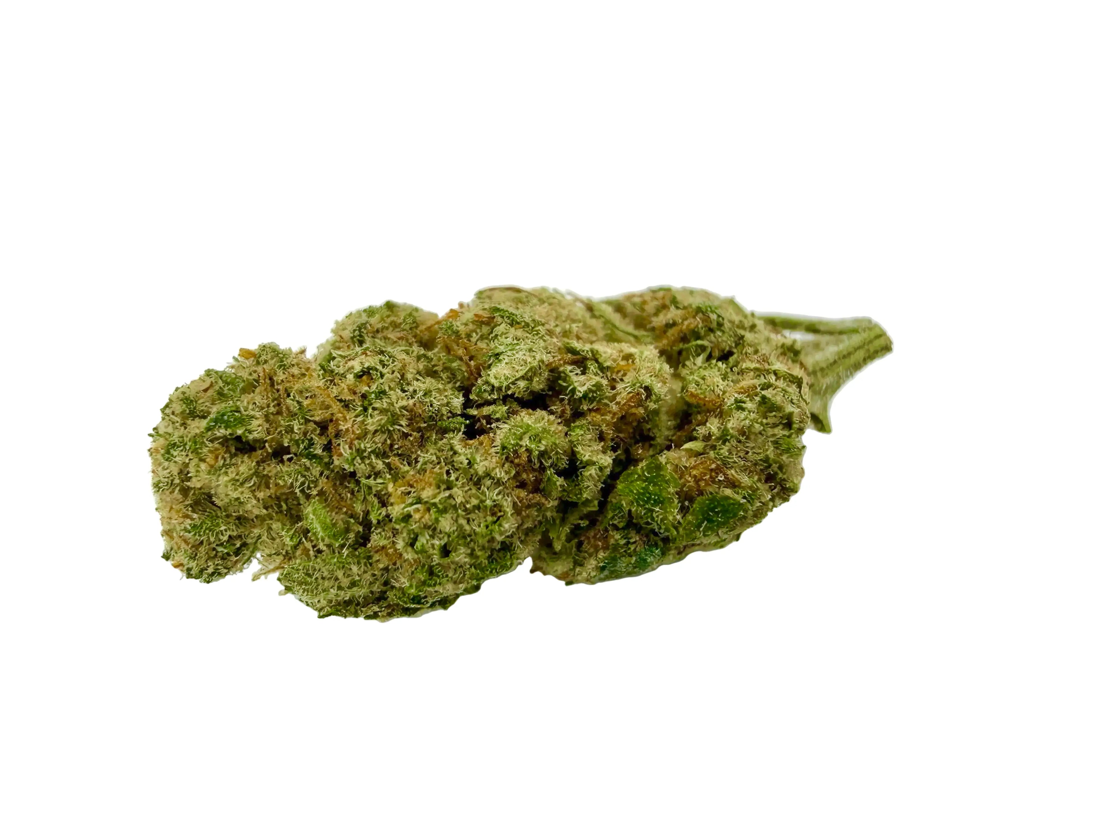 Amnesia médium  – Fleur CBD Indoor