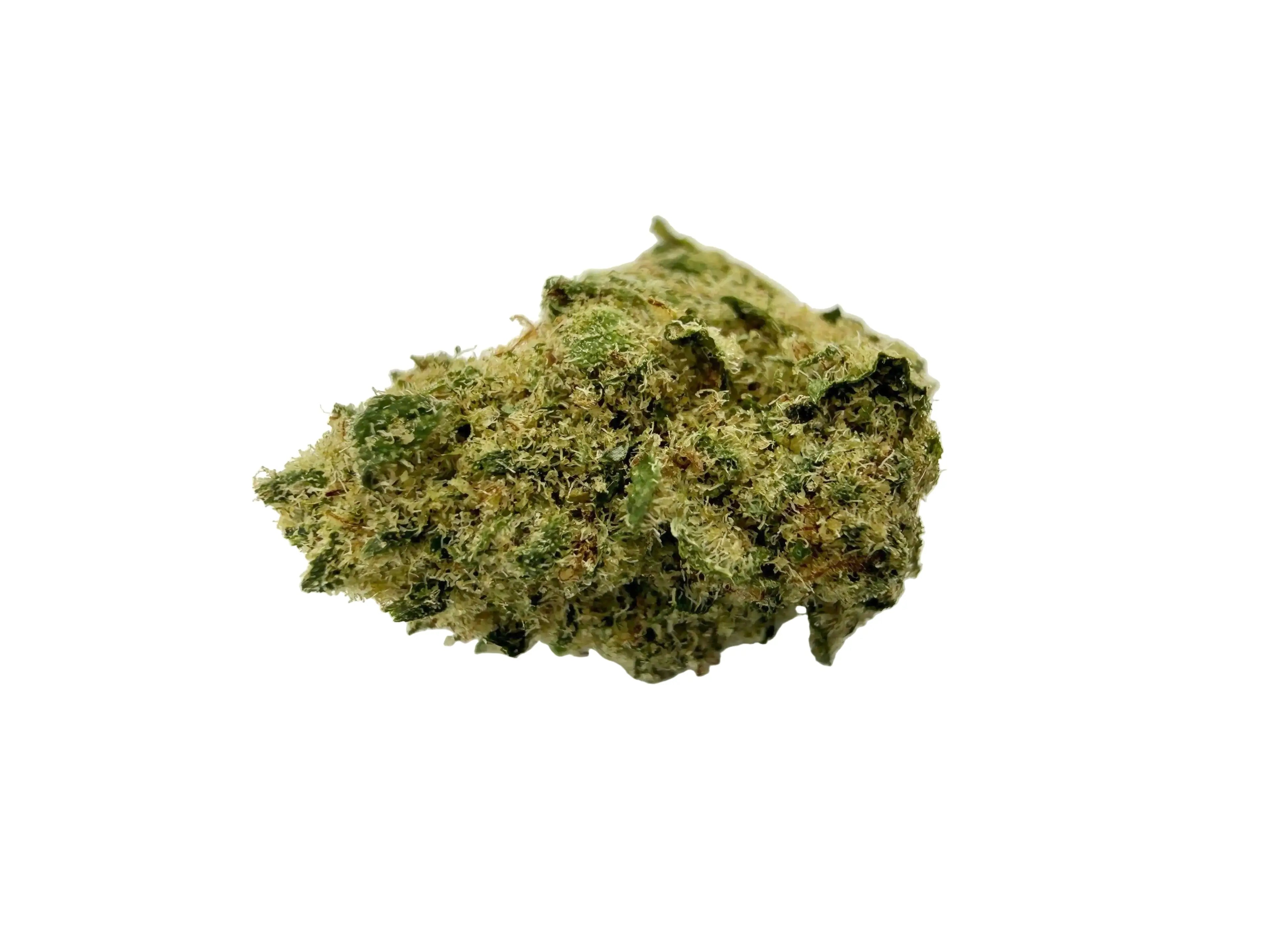 Amnésia Rocket Baby – Fleur CBD Indoor Mini Bud