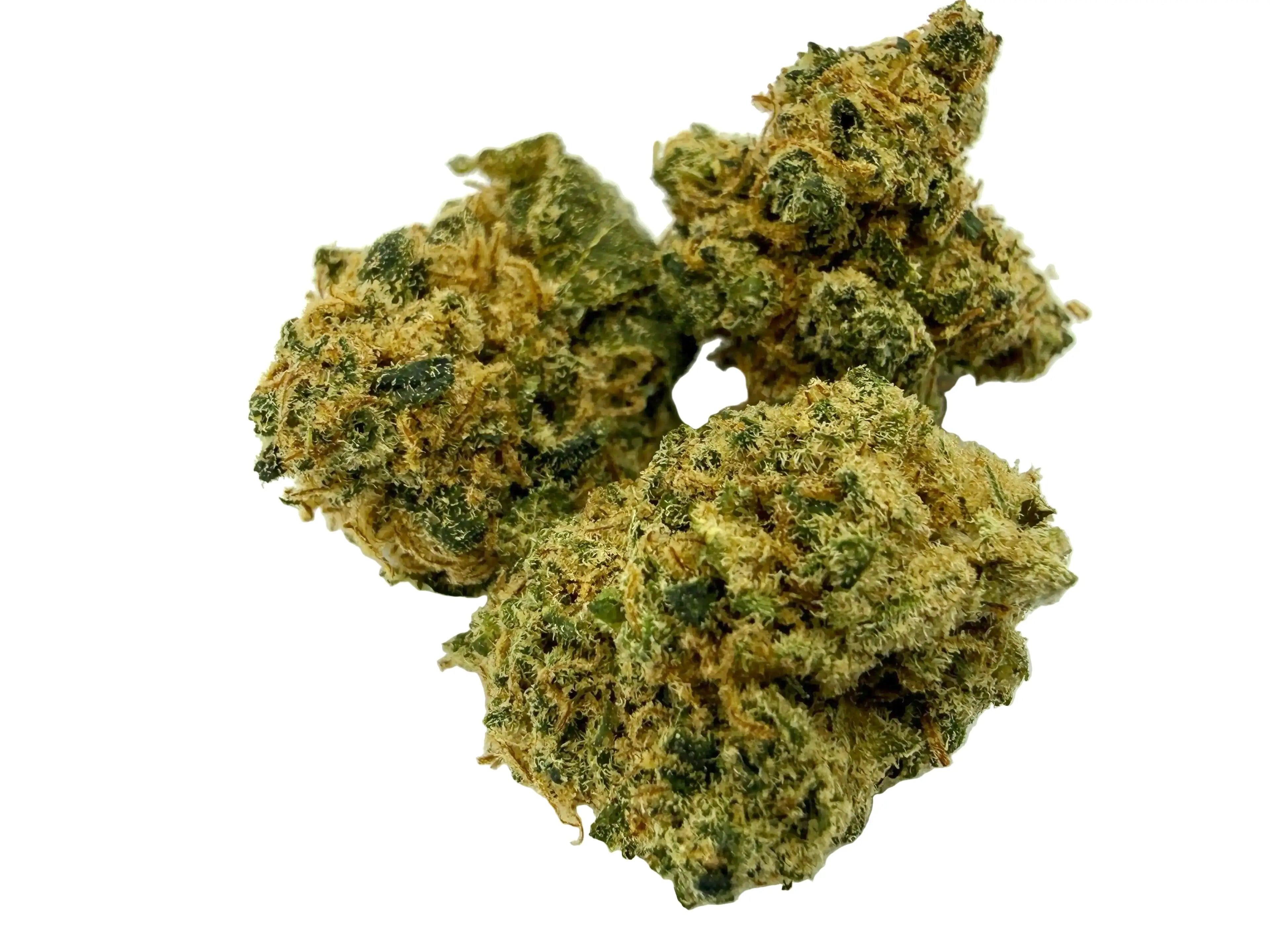 Blueberry Muffin – Fleur CBD Indoor Mini Bud