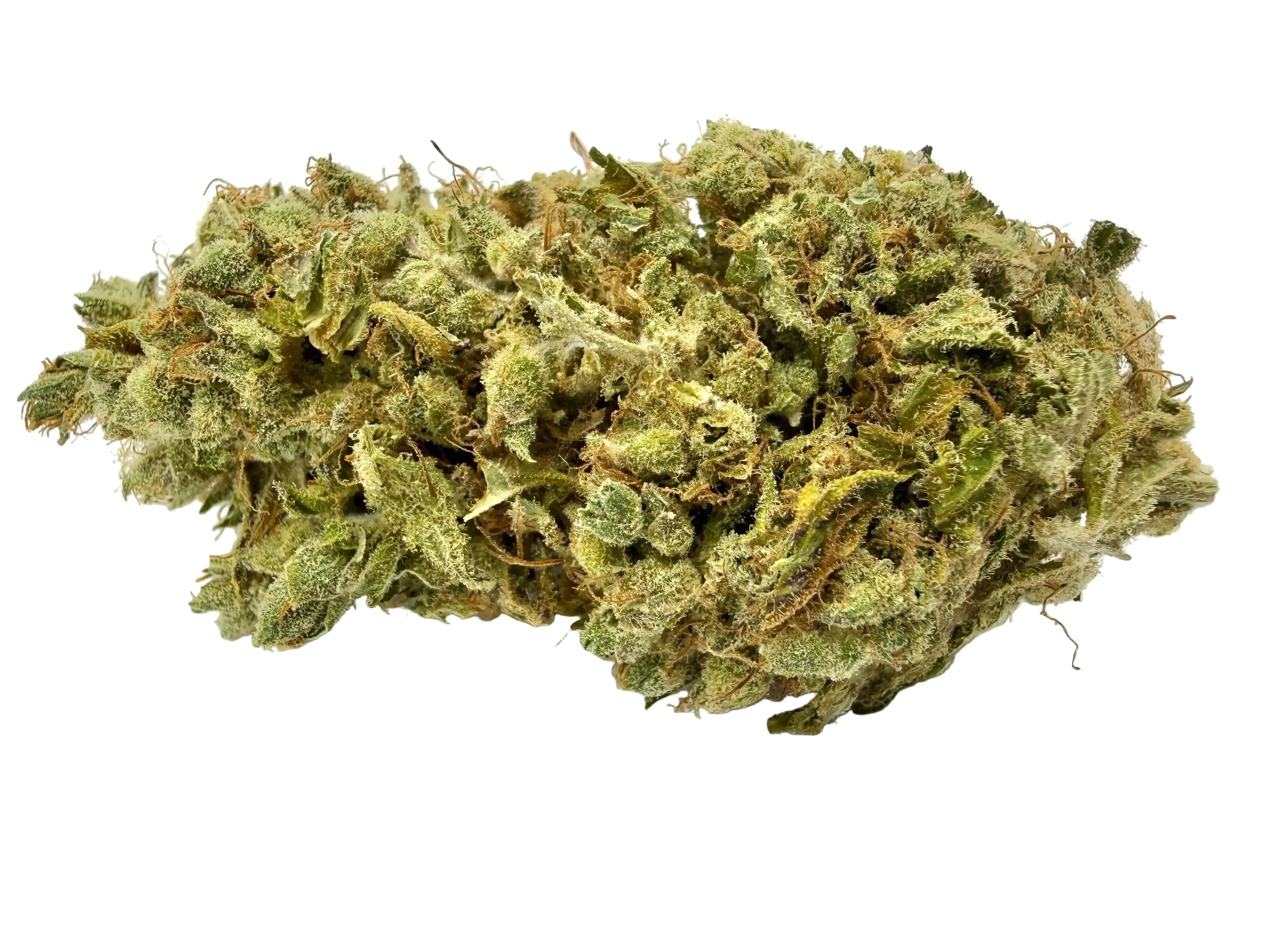Blue Dream Premium – Fleur CBD Indoor
