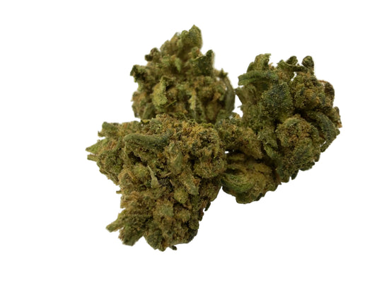 Canna Punch baby  – Fleur CBD Greenhouse