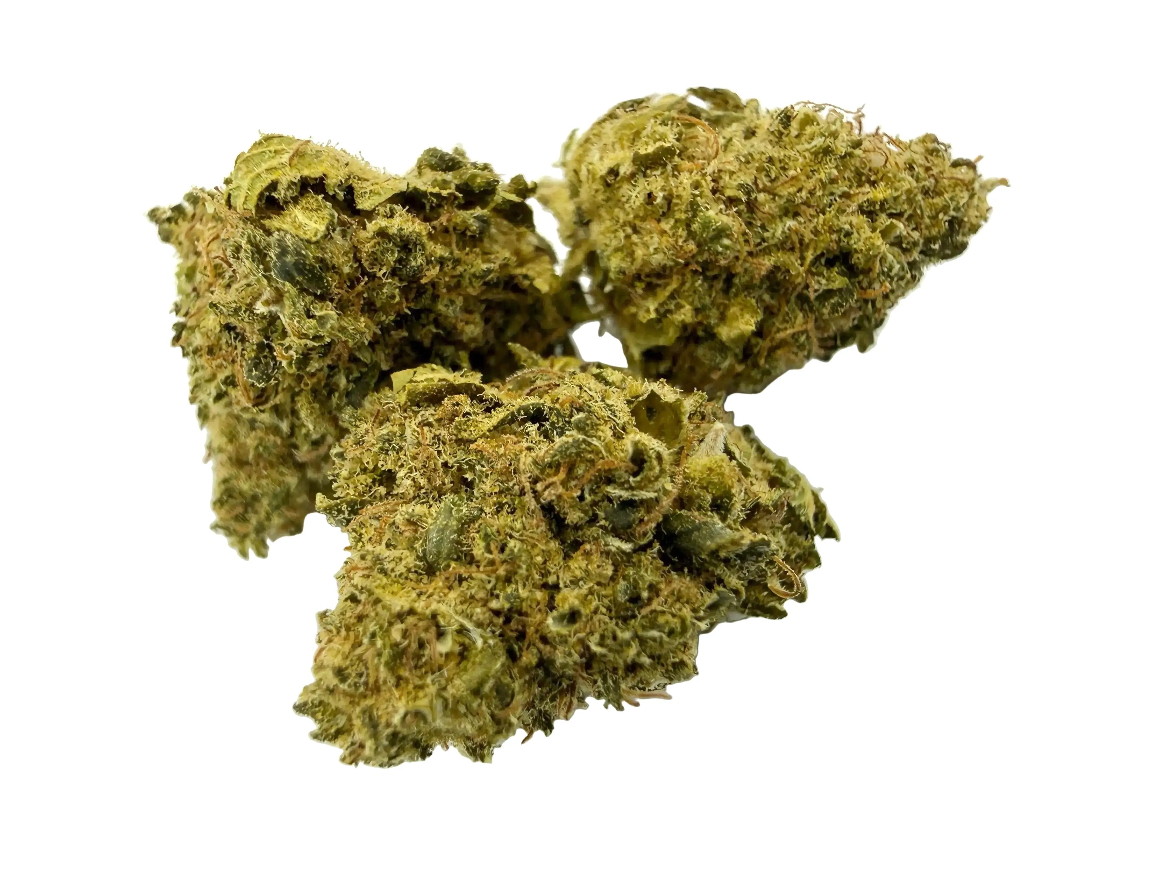 Cherry Lemonade Baby – Fleur CBD Indoor Mini Bud