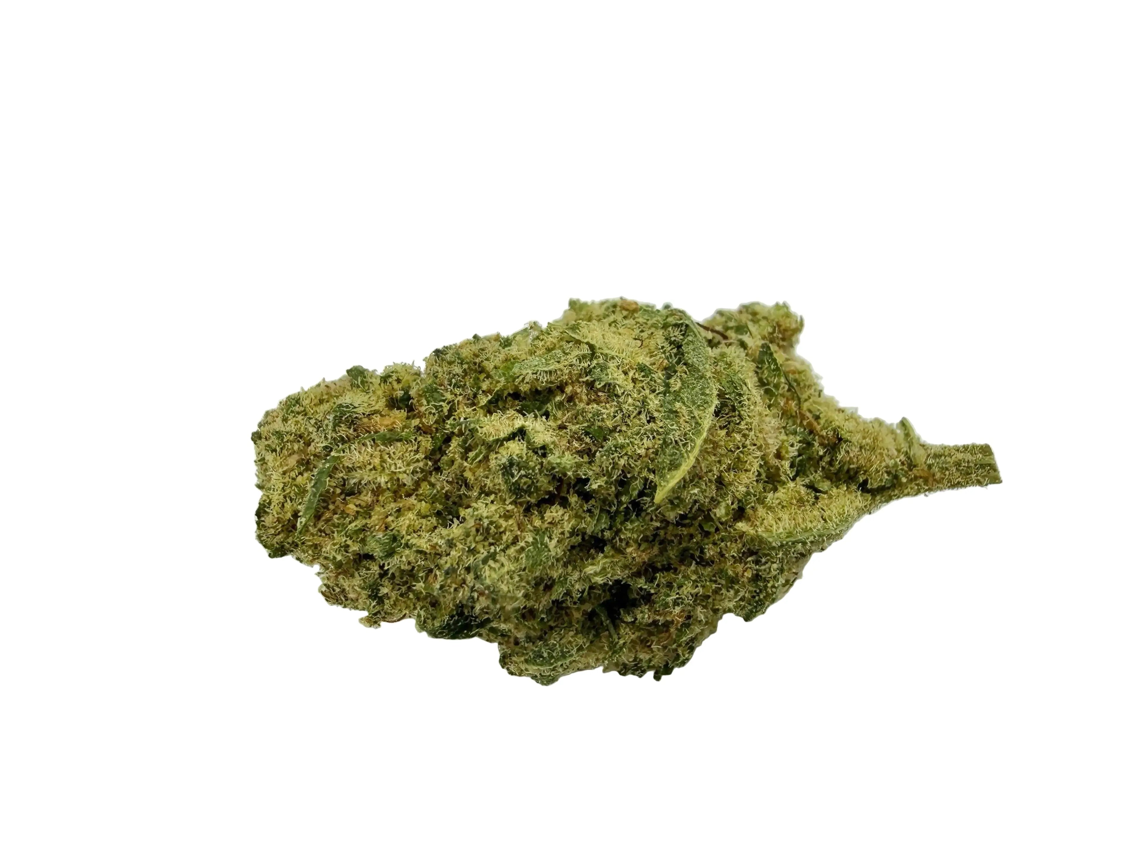 Critical baby  – Fleur CBD Indoor Mini Bud