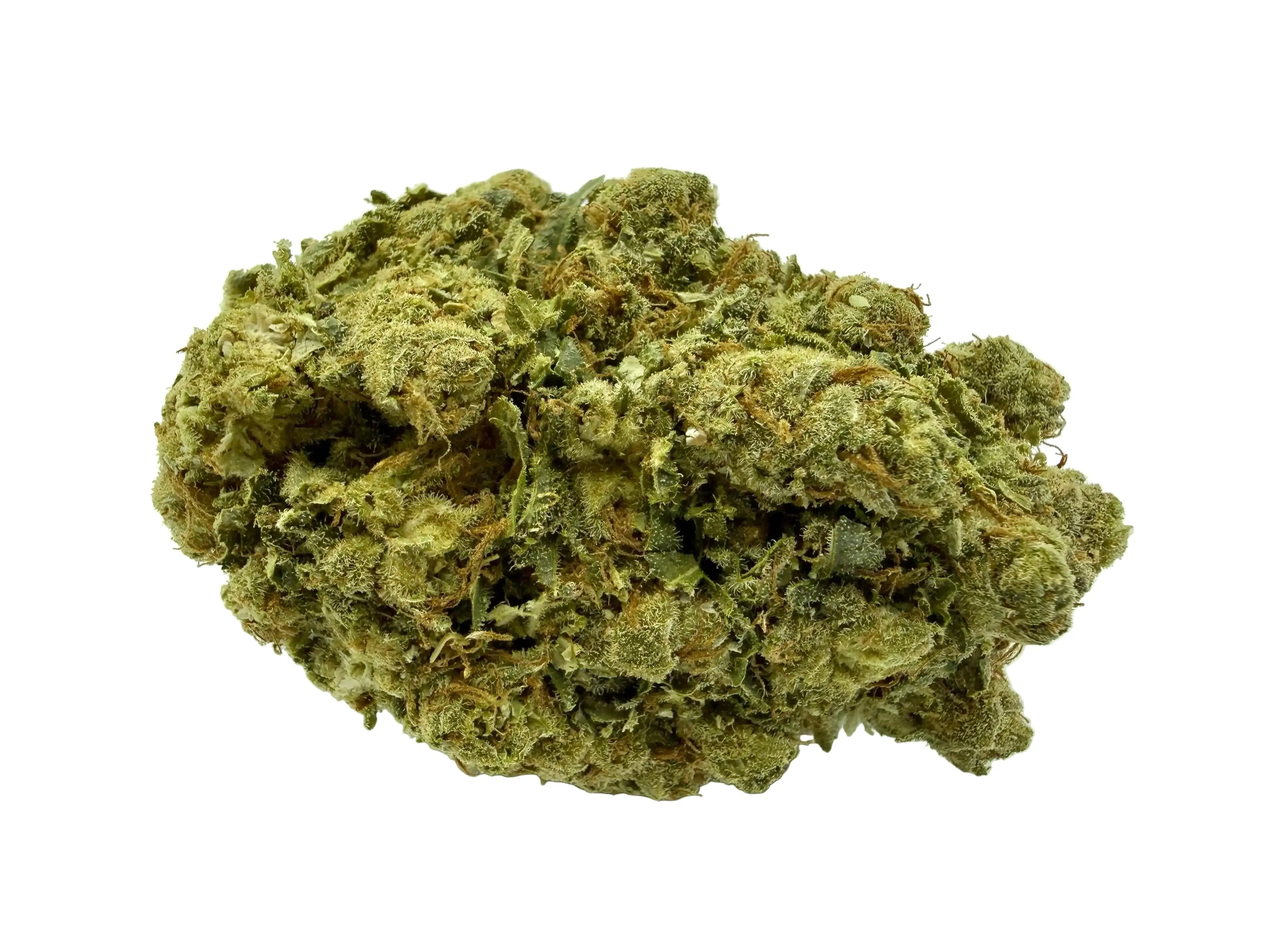 Frozen Amnésia premium  – Fleur CBD Indoor