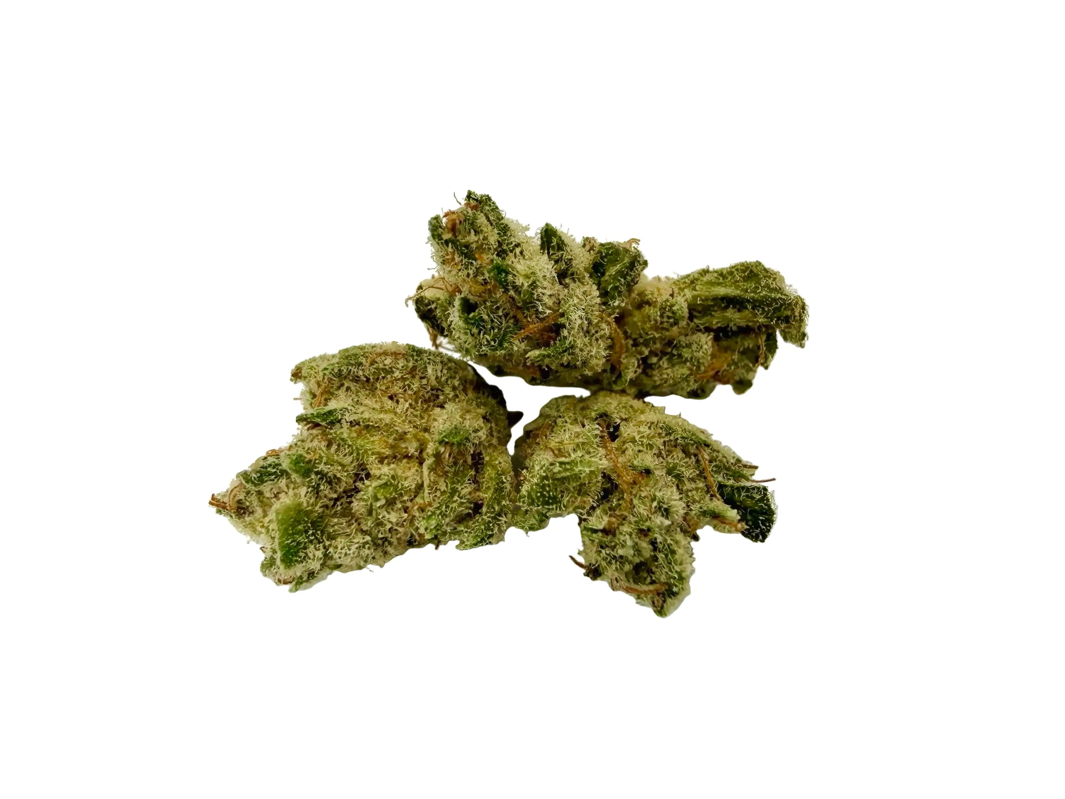 G13 Baby – Fleur CBD Indoor Mini Bud