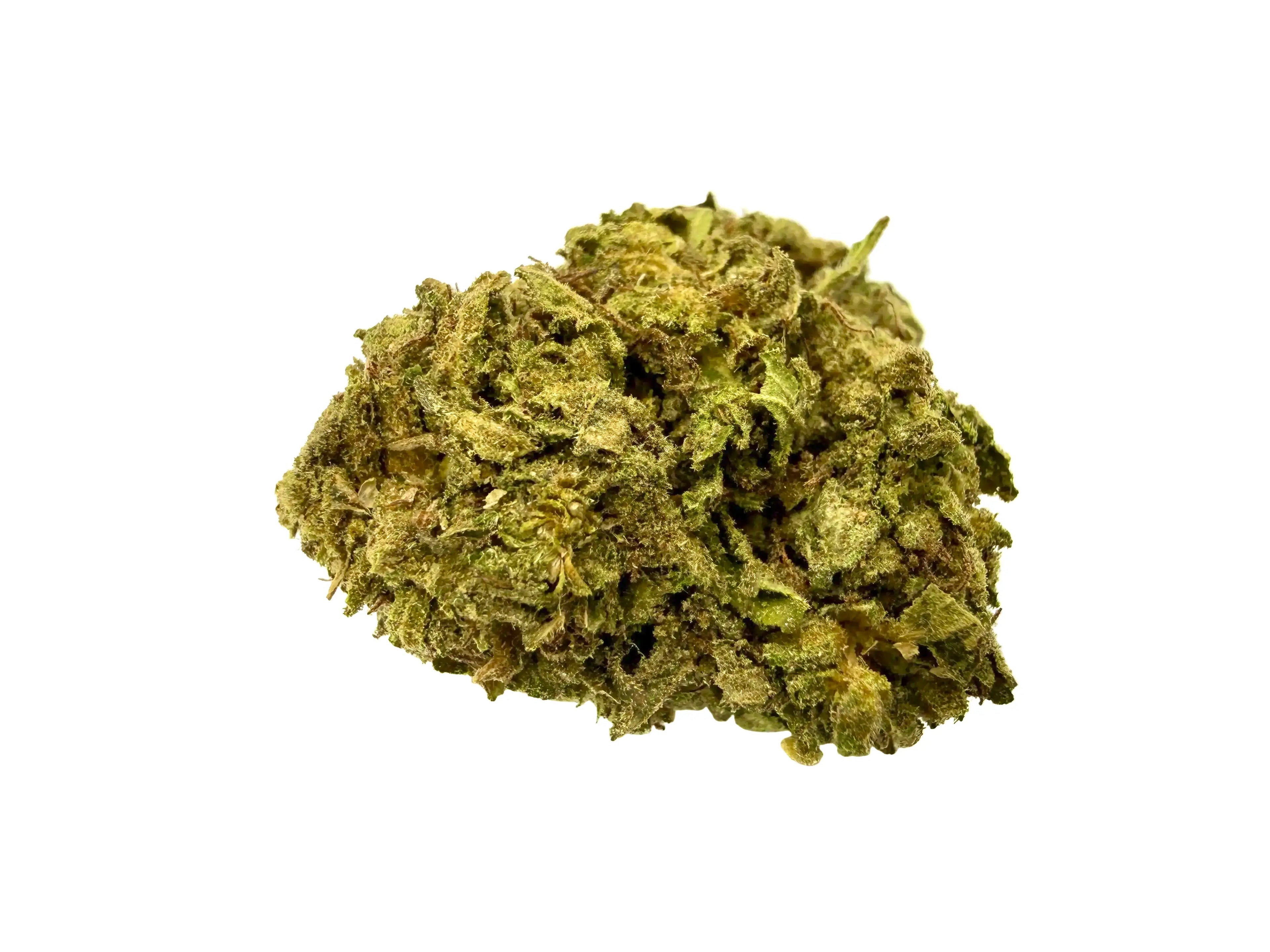 Gelato Baby – Fleur CBD Indoor Mini Bud