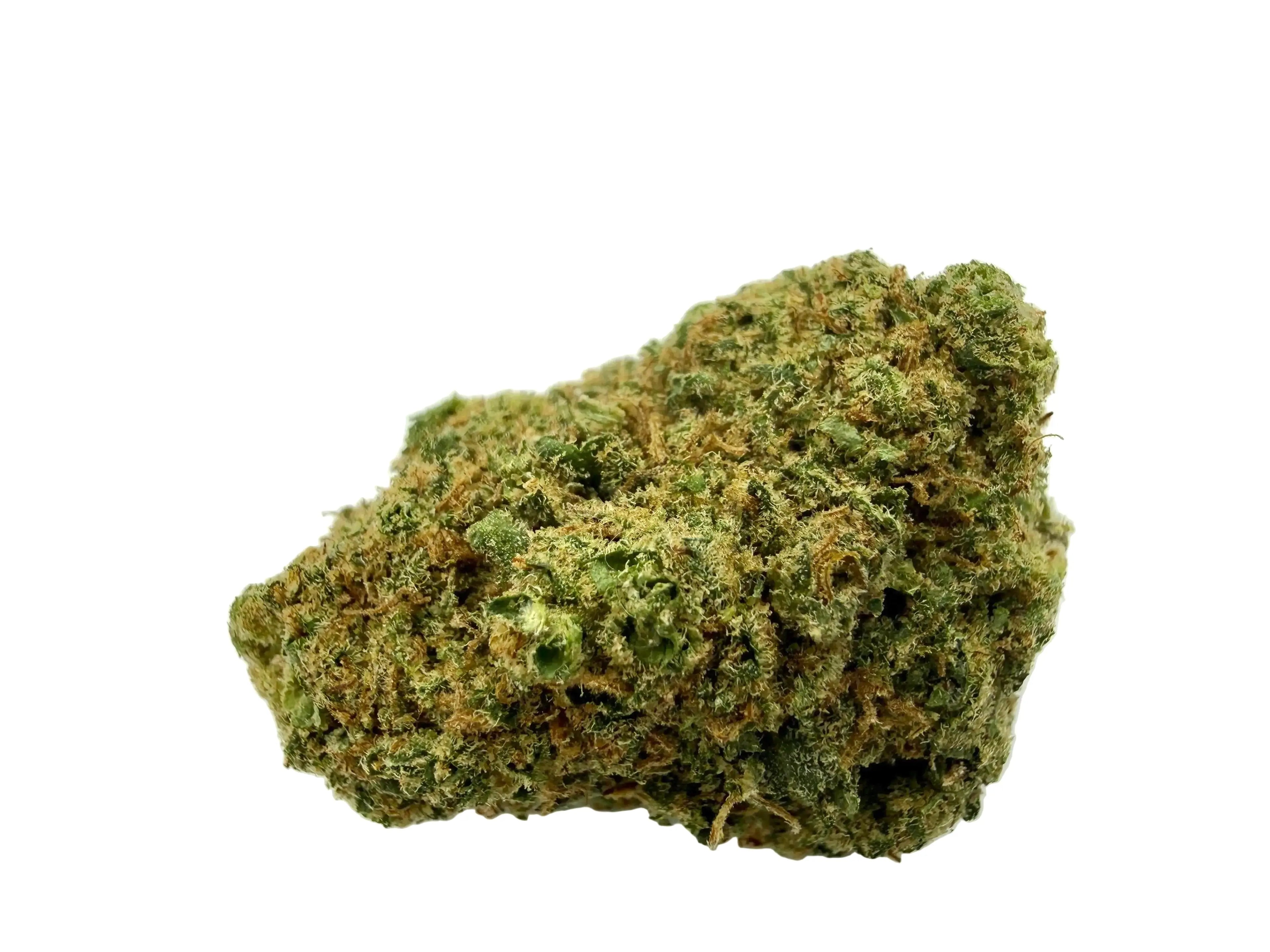 Moby dick  Premium – Fleur CBD Indoor