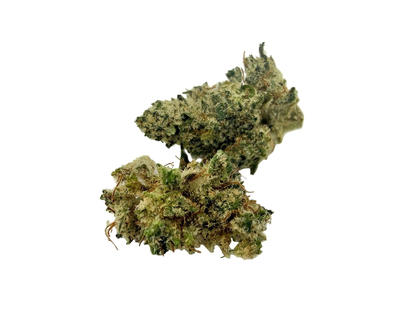 Mela sour Baby Fleur CBD indoor