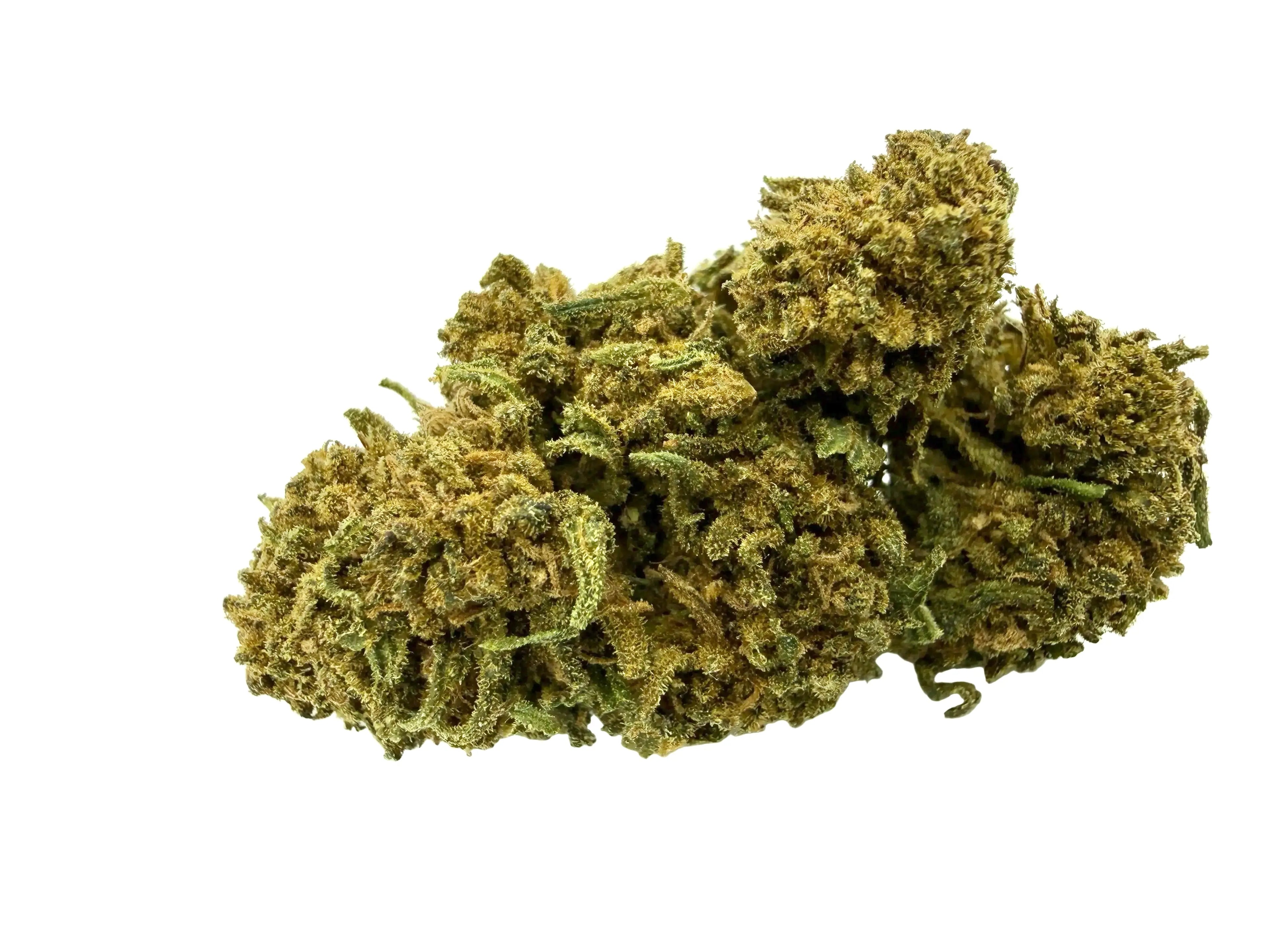 Peach OZZ – Fleur CBD Greenhouse Mini Bud