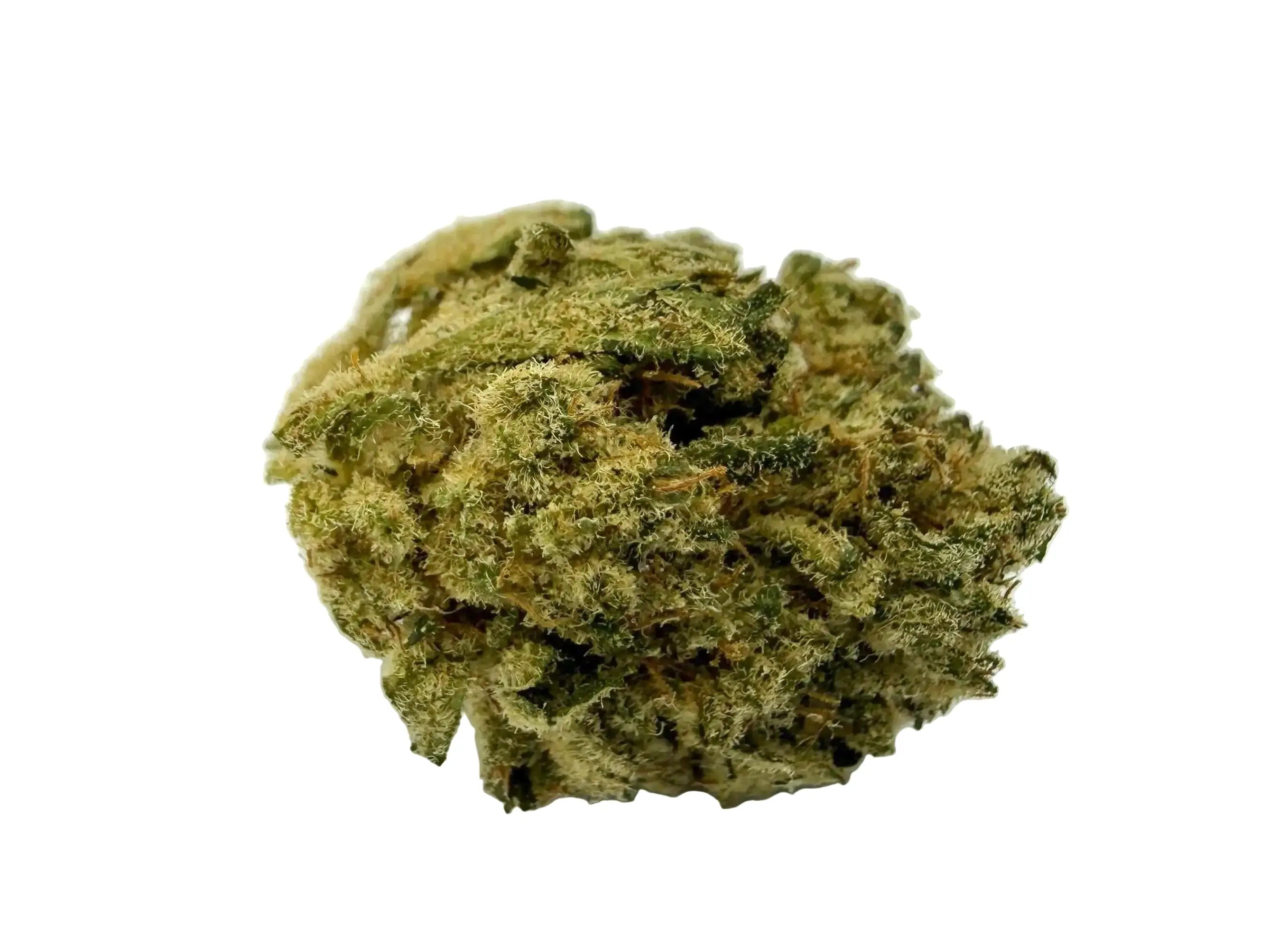 V1 Max Premium – Fleur CBD Indoor