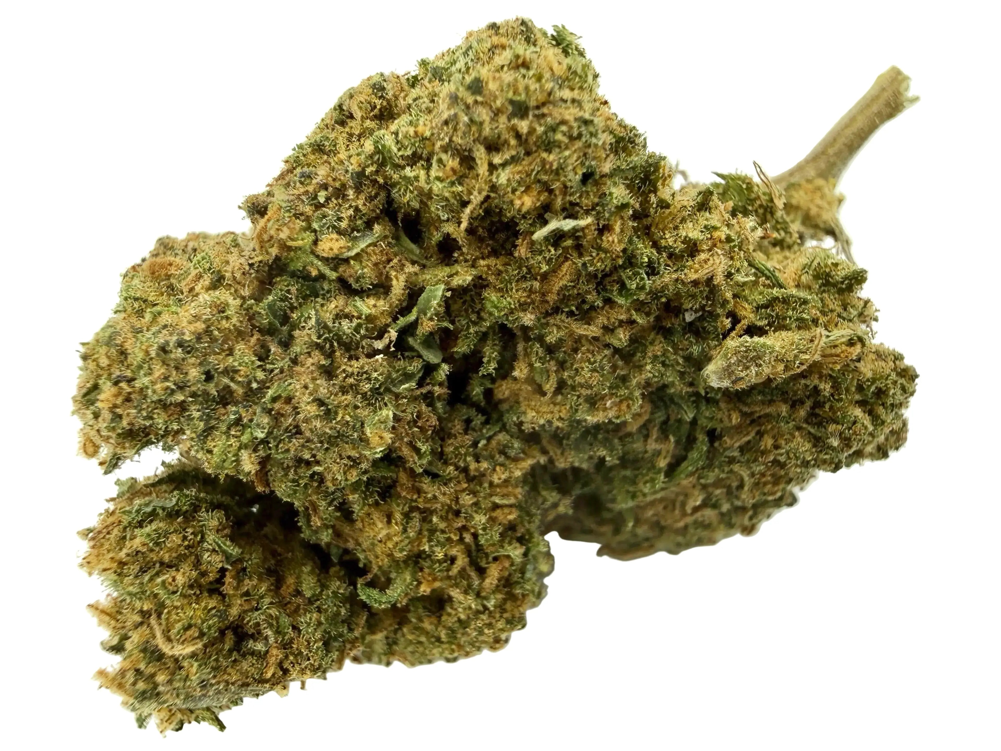 White Widow premium – Fleur CBD Indoor